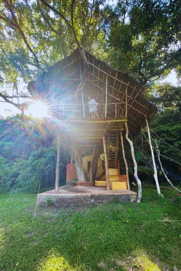 Back Of Beyond - Wild Haven Villa Sigiriya Exterior photo