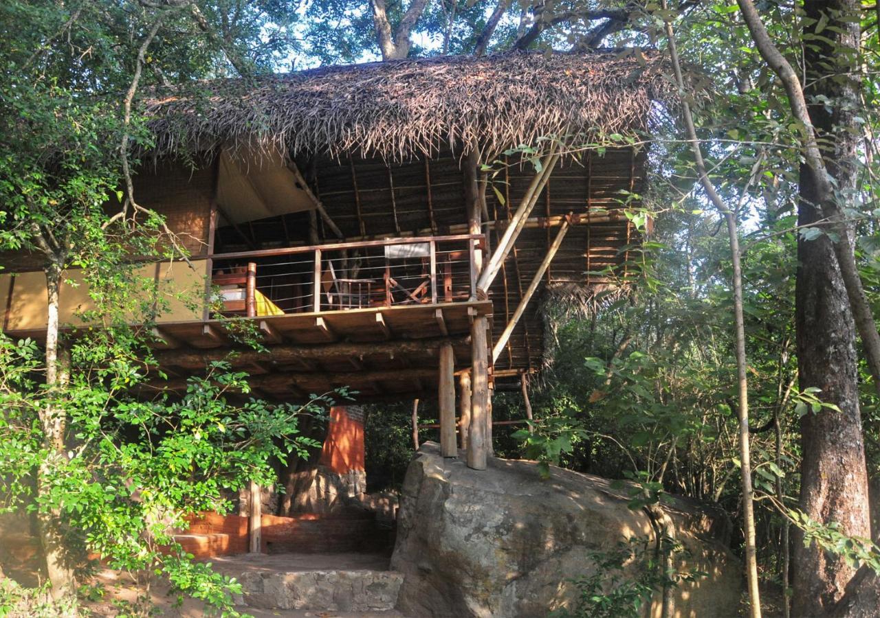 Back Of Beyond - Wild Haven Villa Sigiriya Exterior photo