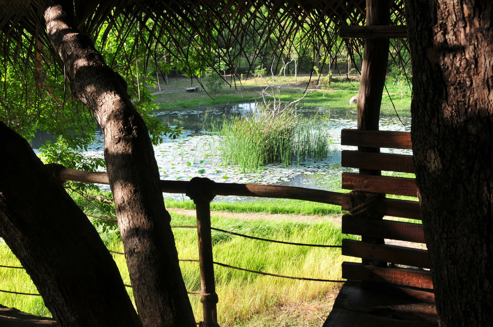 Back Of Beyond - Wild Haven Villa Sigiriya Exterior photo
